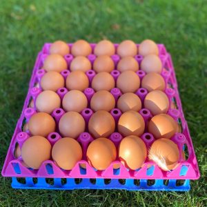 Tray of 30 free-range eggs