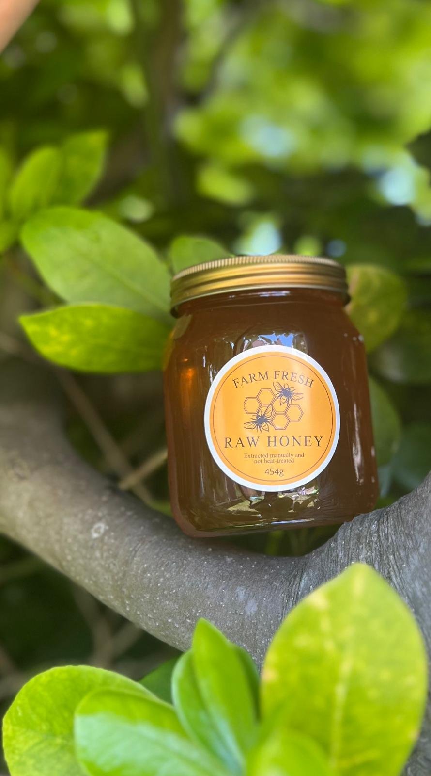 Jar of raw honey 454g